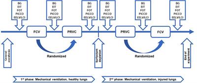 Flow-controlled ventilation maintains gas exchange and lung aeration in a pediatric model of healthy and injured lungs: A randomized cross-over experimental study